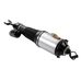 Kothsparts Front Left Air Shock Suspension Spring Fits for Volkswagen Phaeton 2004-2006 Bentley Continental 2003 - 2012 OEM:3D0616039